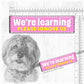 We're Learning, please ignore us