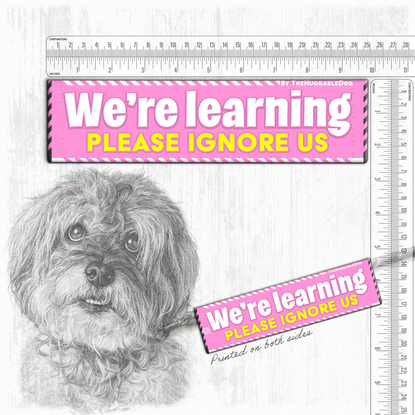 We're Learning, please ignore us
