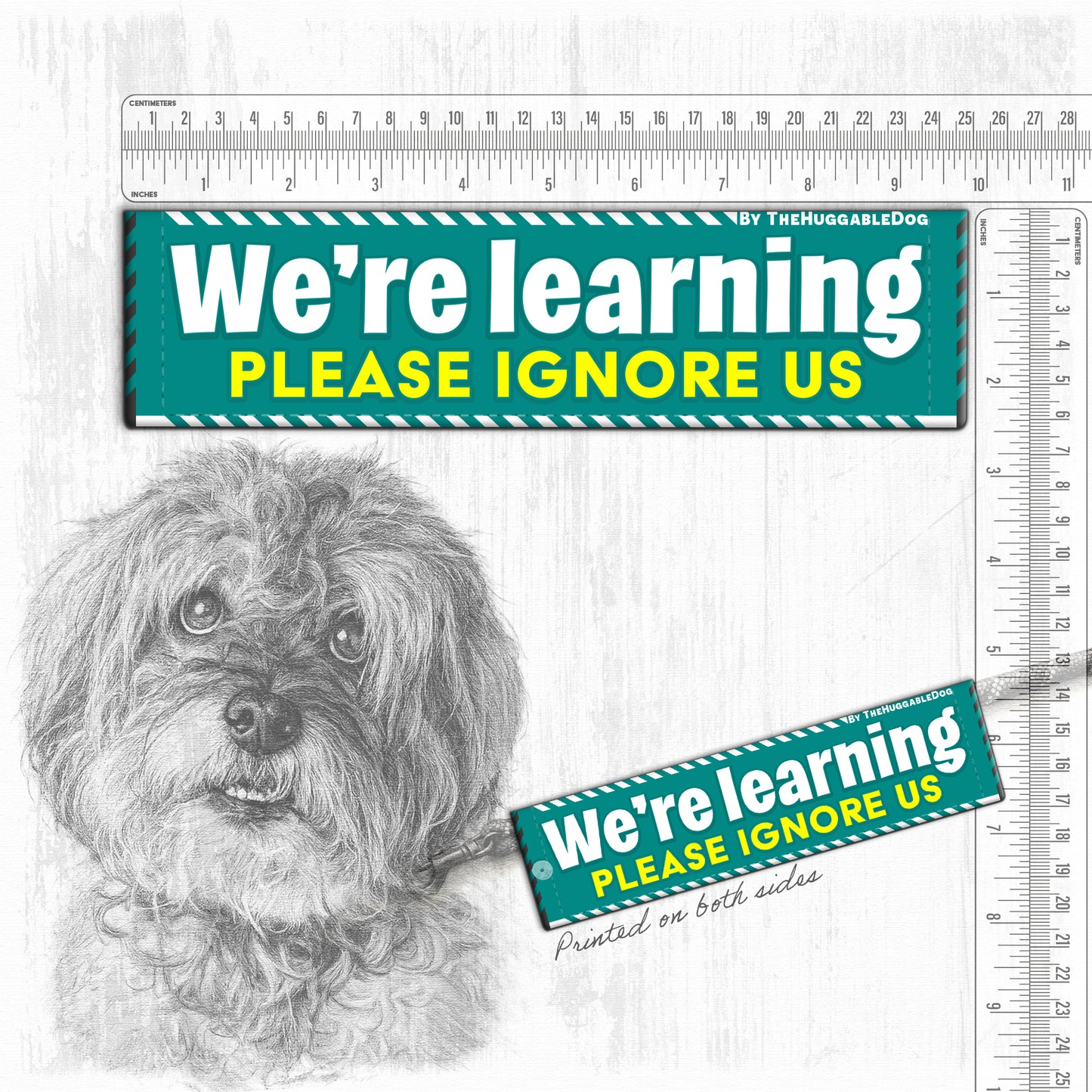 We're Learning, please ignore us