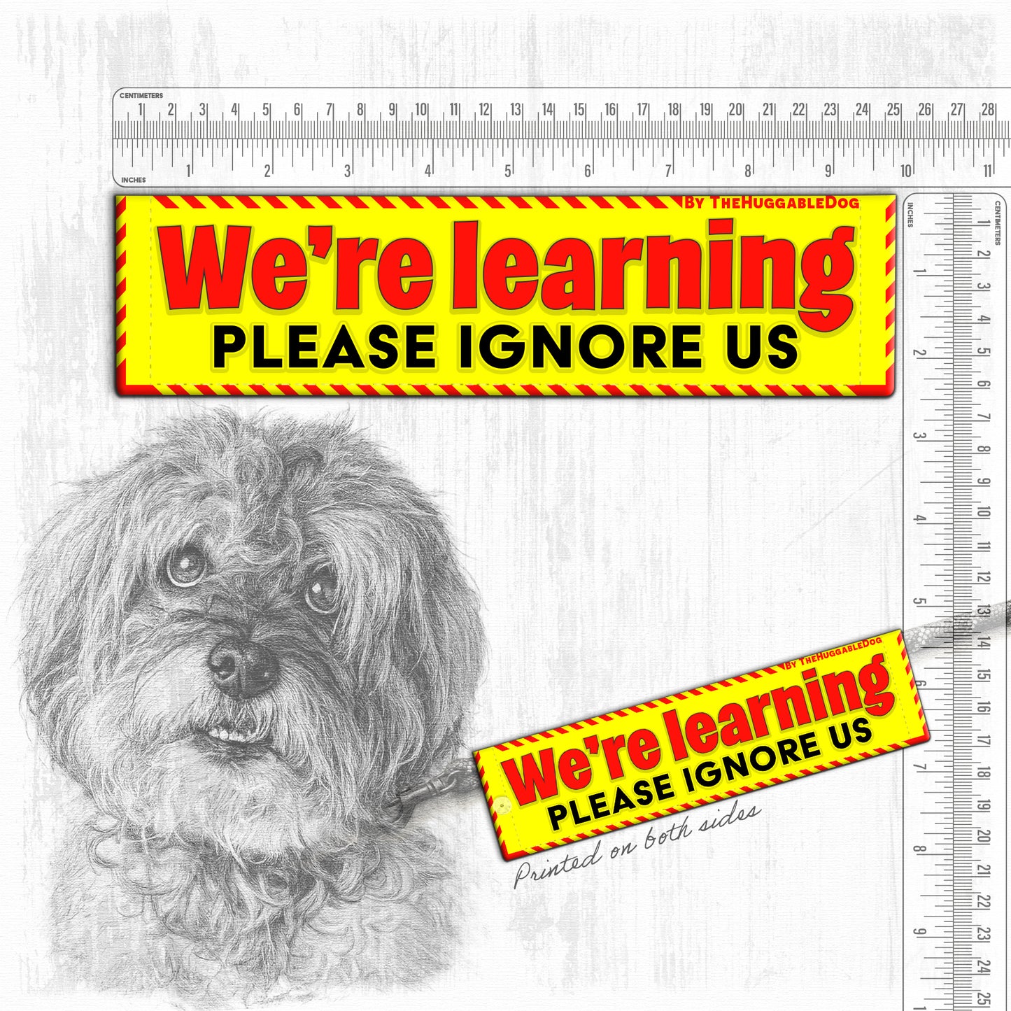 We're Learning, please ignore us