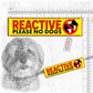 "REACTIVE DOG, various".