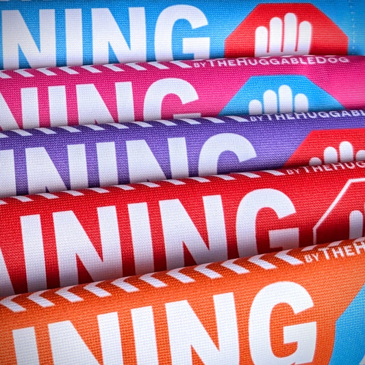 "Training, do not distract". Dog training Leash sleeves.