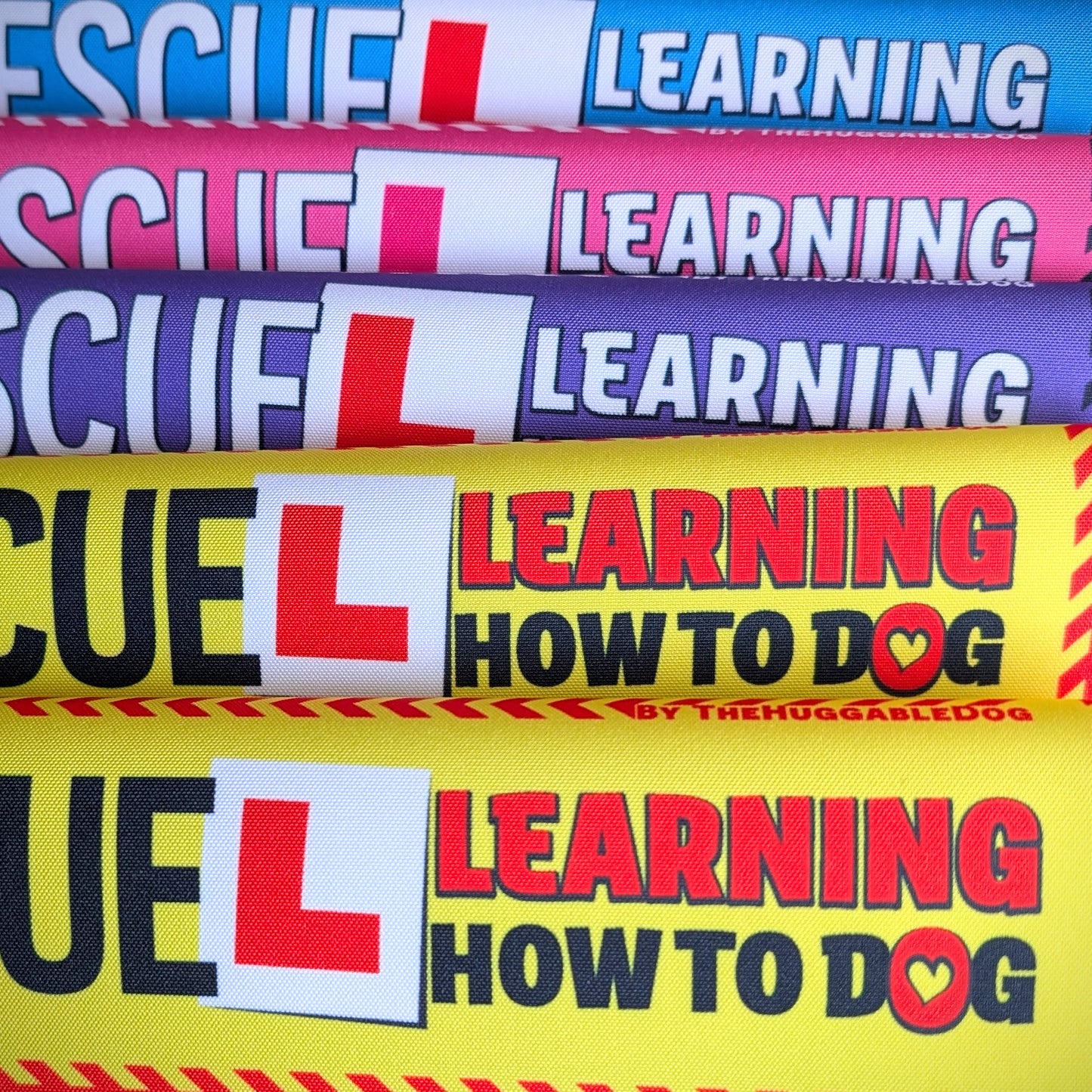 17-"RESCUE, learning to be dog".