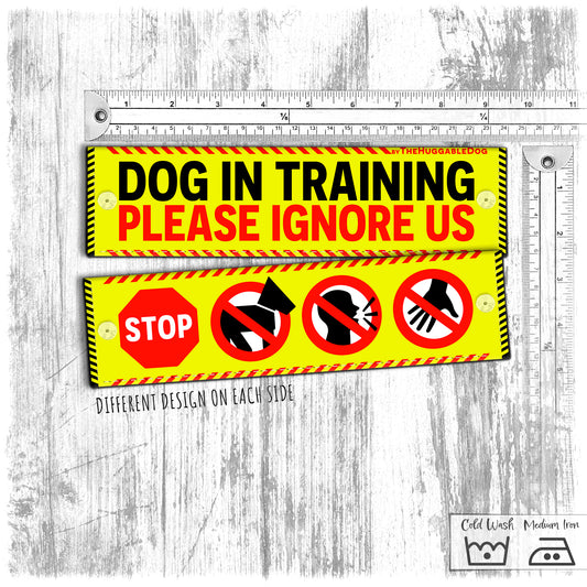 "Dog IN TRAINING, please ignore us" plus signs. Leash sleeve for dog training.