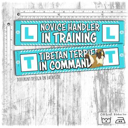 "NOVICE handler in training, TIBETAN TERRIER in command". Leash sleeves. TT special.