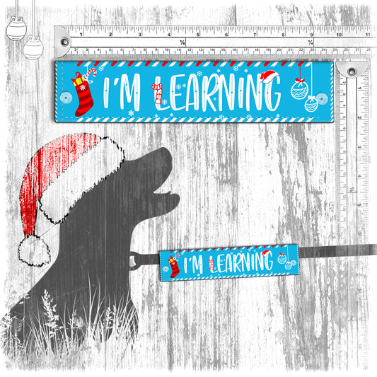 "I'm LEARNING". Leash sleeve for dogs. Xmas special.