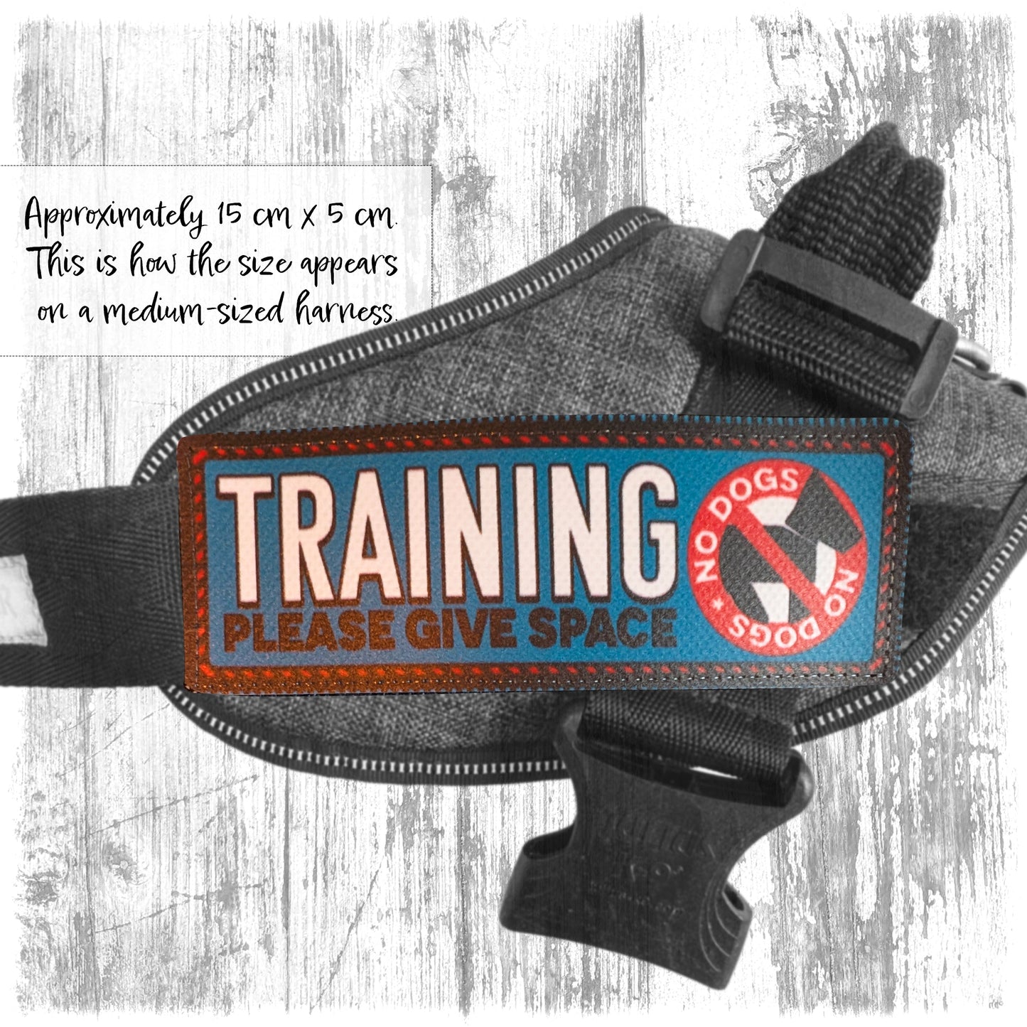 "TRAINING, please give space". NO DOGS. Supplied as a SINGLE item so you can mix and match.