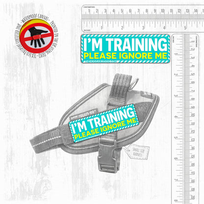 I'm TRAINING, please ignore me. SMALL Size.