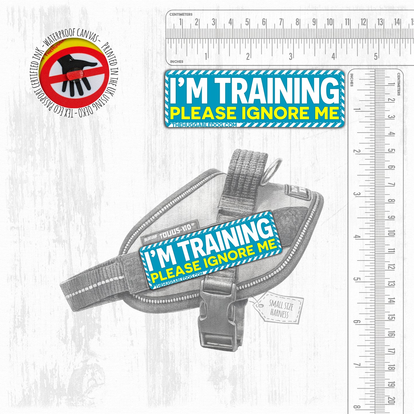 I'm TRAINING, please ignore me. SMALL Size.