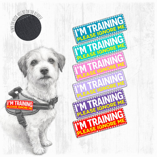 I'm TRAINING, please ignore me. SMALL Size.