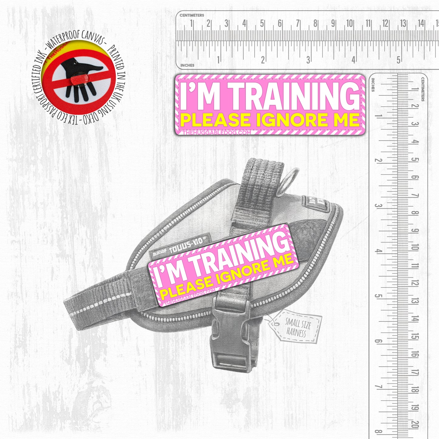 I'm TRAINING, please ignore me. SMALL Size.