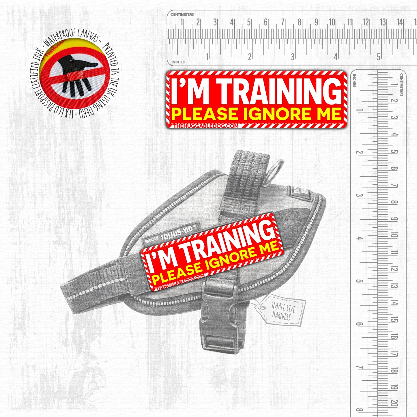 I'm TRAINING, please ignore me. SMALL Size.