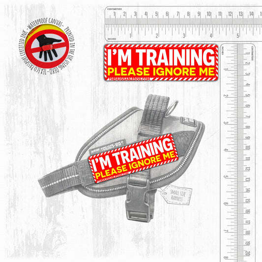I'm TRAINING, please ignore me. SMALL Size.