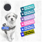 Visually Impaired. Small Patch.