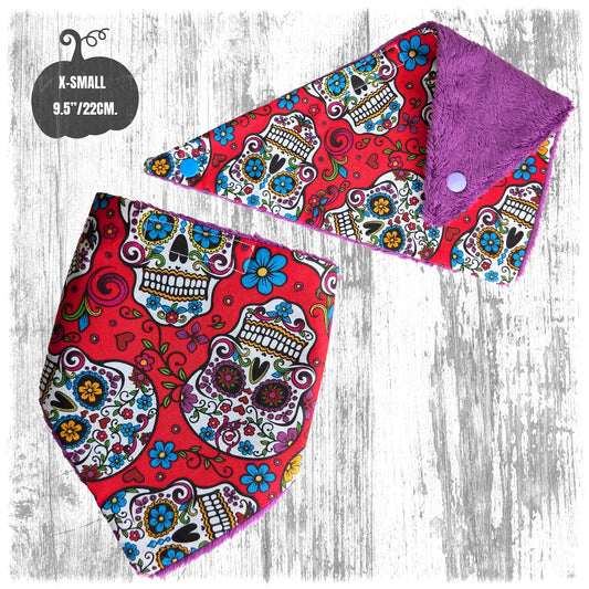 Winter Dog Bandanas Hallowing