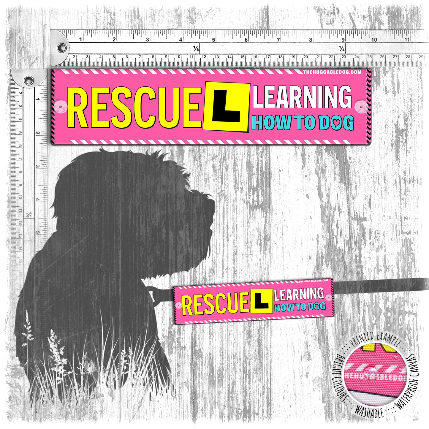 "Rescue LEARNING how to dog". Leash sleeve for dogs.