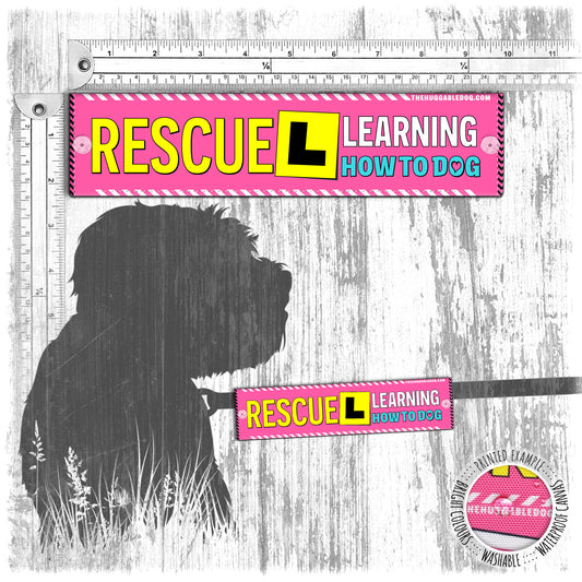 "Rescue LEARNING how to dog". Leash sleeve for dogs.