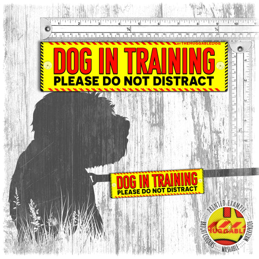 "Dog in TRAINING, do not distract". Leash sleeve for dog training.