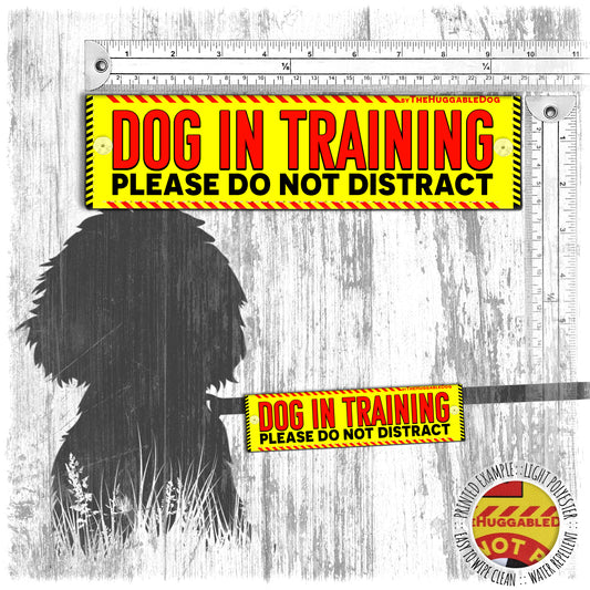 "DOG IN TRAINING, do not distract". Leash sleeve for dog TRAINING.
