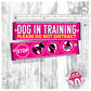 "Dog in training, DO NOT DISTRACT" plus signs. Leash sleeve for dog TRAINING.