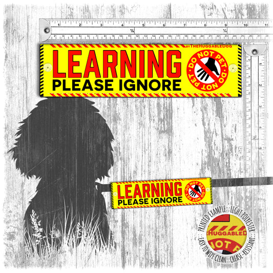 "LEARNING, please ignore", do not pet. Leash sleeve for dog TRAINING.