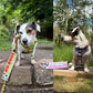 Custom made. Sleeves for dog leashes, just the way you like.