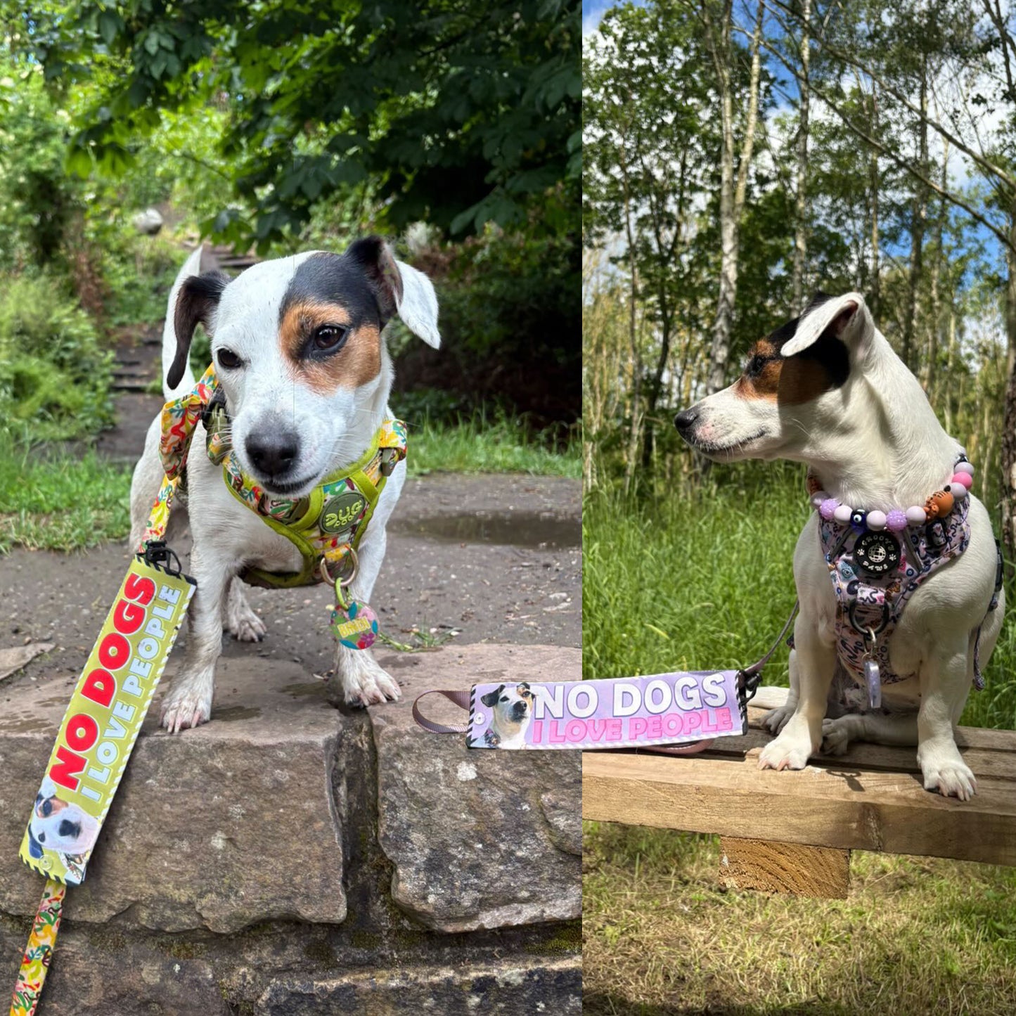 Custom made. Sleeves for dog leashes, just the way you like.
