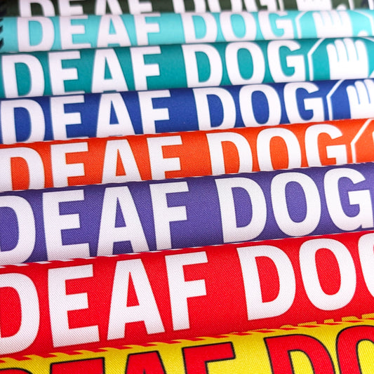 "DEAF DOG, please do not startle"