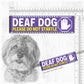 "DEAF DOG, please do not startle"