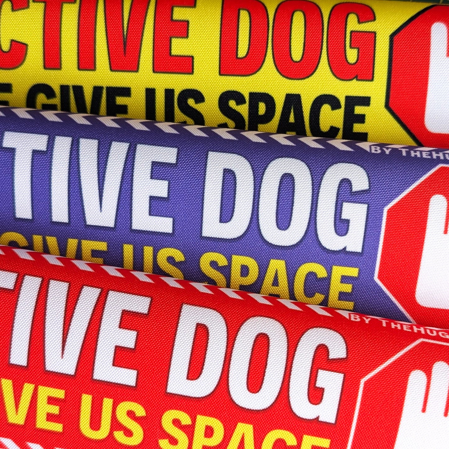 REACTIVE DOG, please give us space.