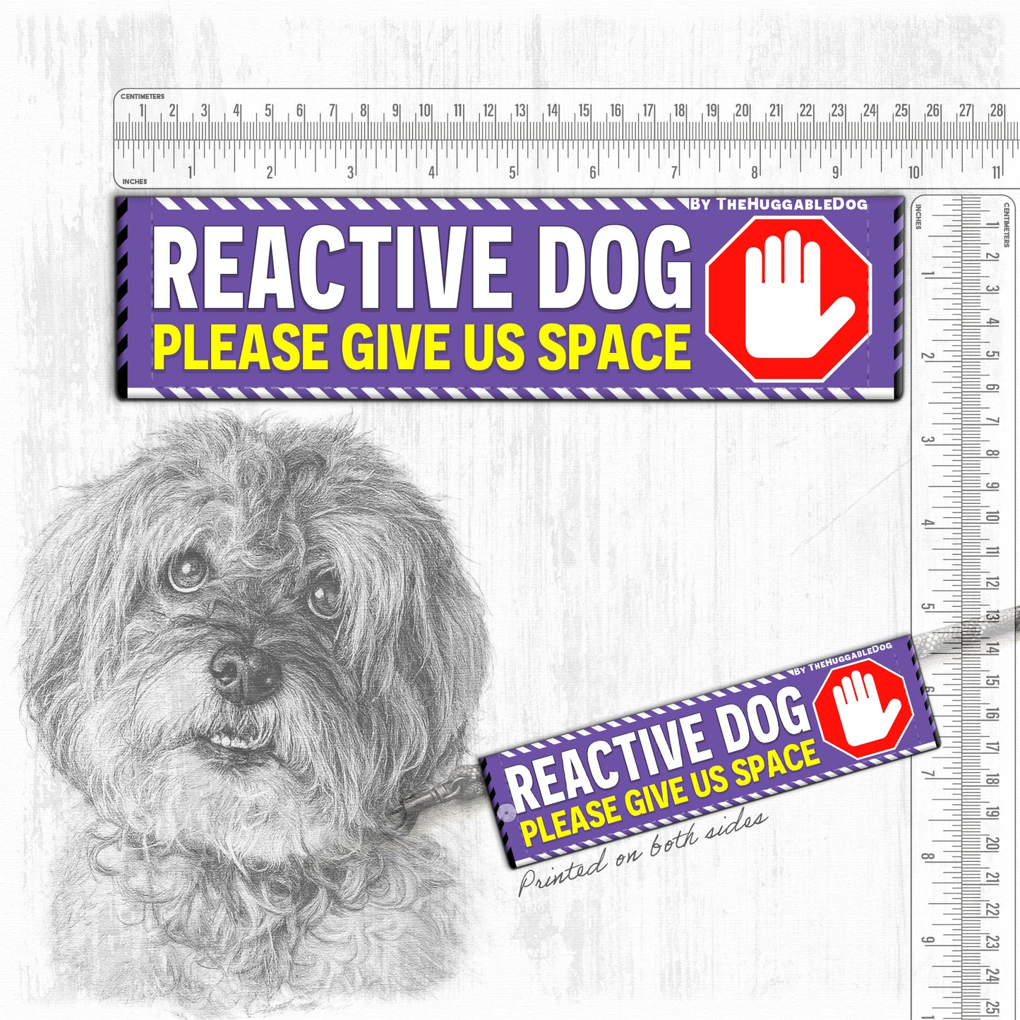 REACTIVE DOG, please give us space.