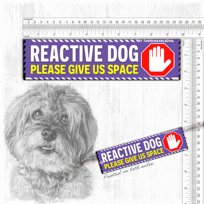 REACTIVE DOG, please give us space.