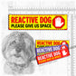 REACTIVE DOG, please give us space.