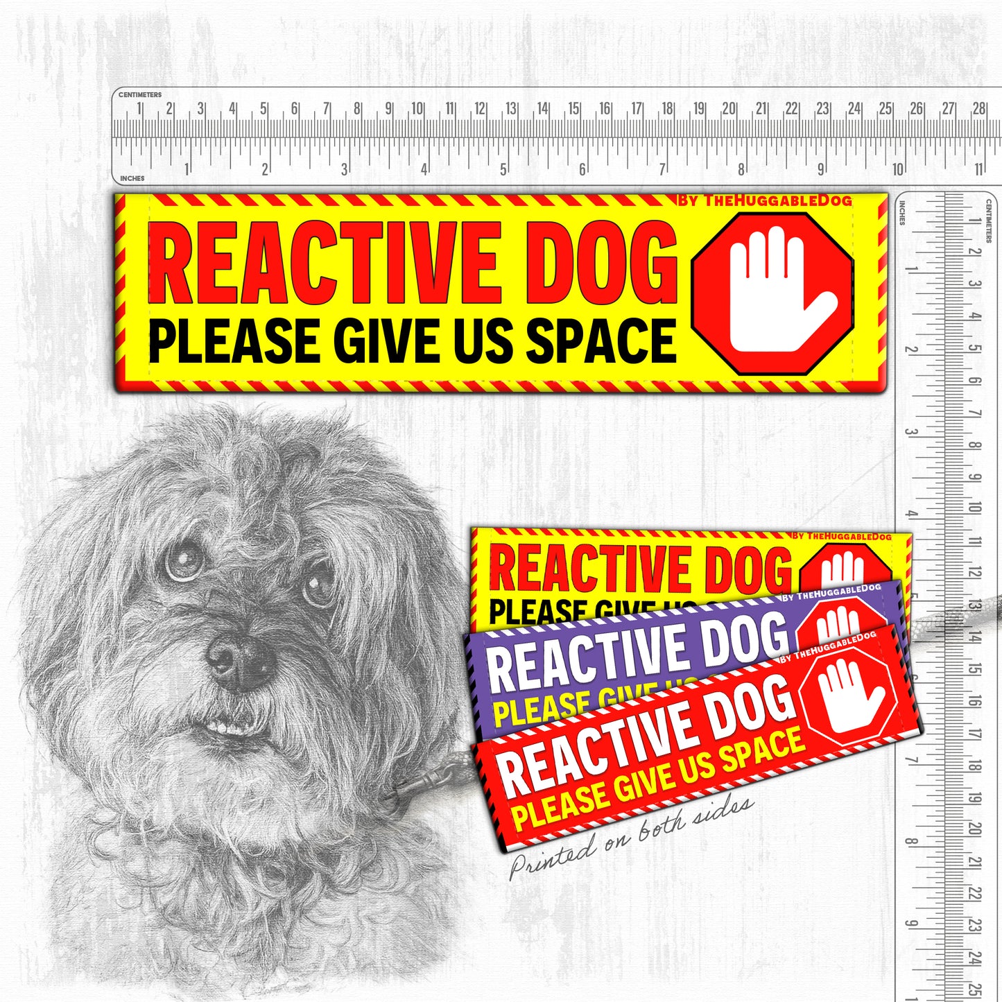 REACTIVE DOG, please give us space.
