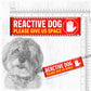 REACTIVE DOG, please give us space.