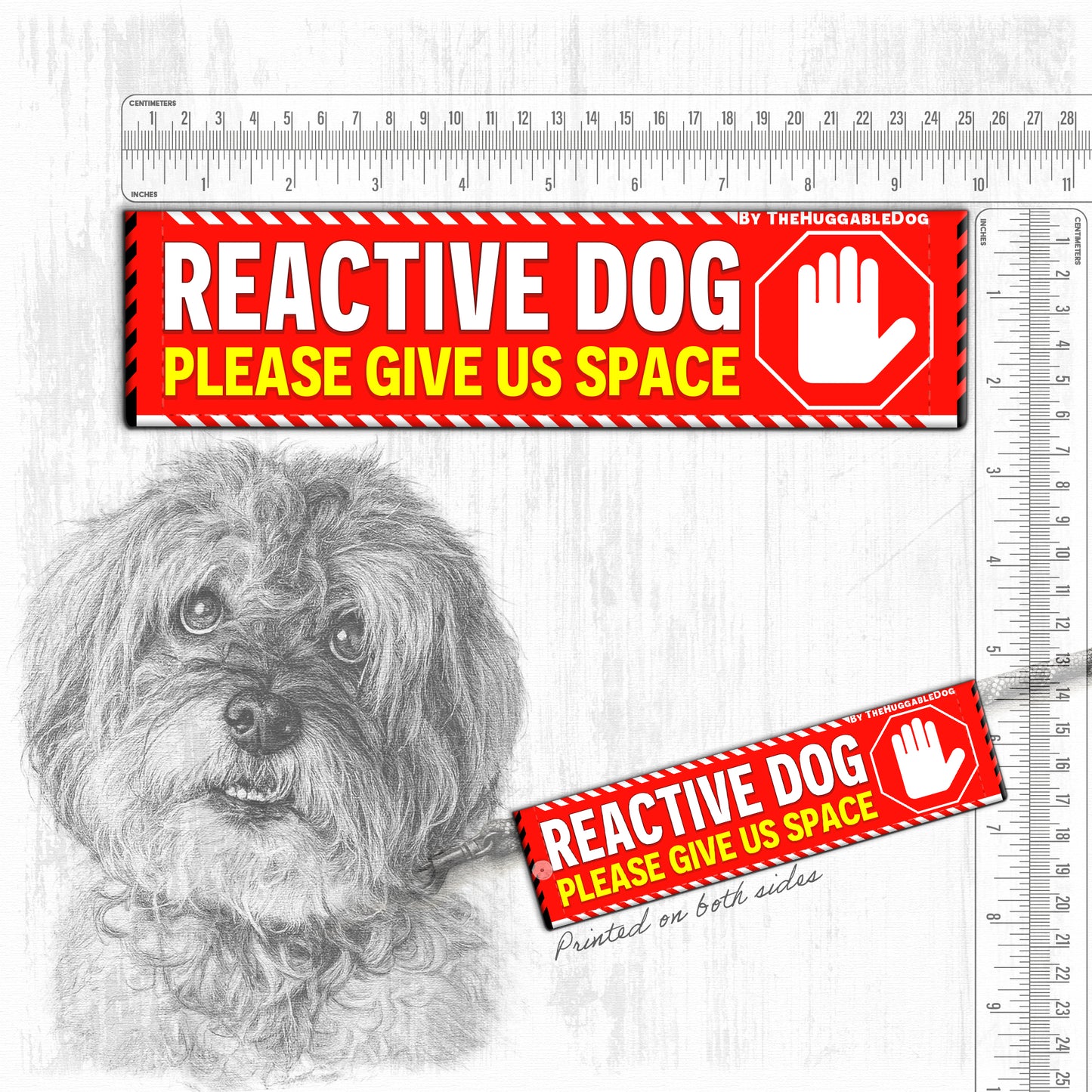 REACTIVE DOG, please give us space.